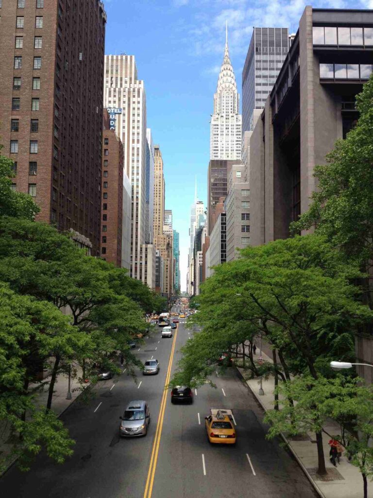 Tree Architecture Sky Road Skyline Street 1087245 Pxhere.com 768x1024